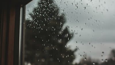 Зображення для статті: Хмарно та місцями дощ: прогноз погоди на Закарпатті на 9 грудня