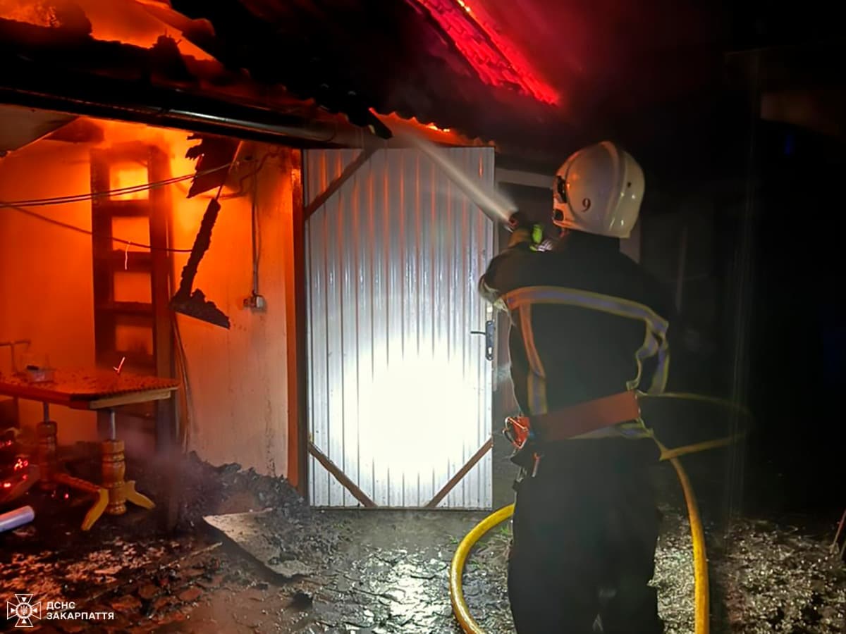 Зображення для статті: Пожежа у Новому Давидкові: вогонь охопив гараж і господарську будівлю