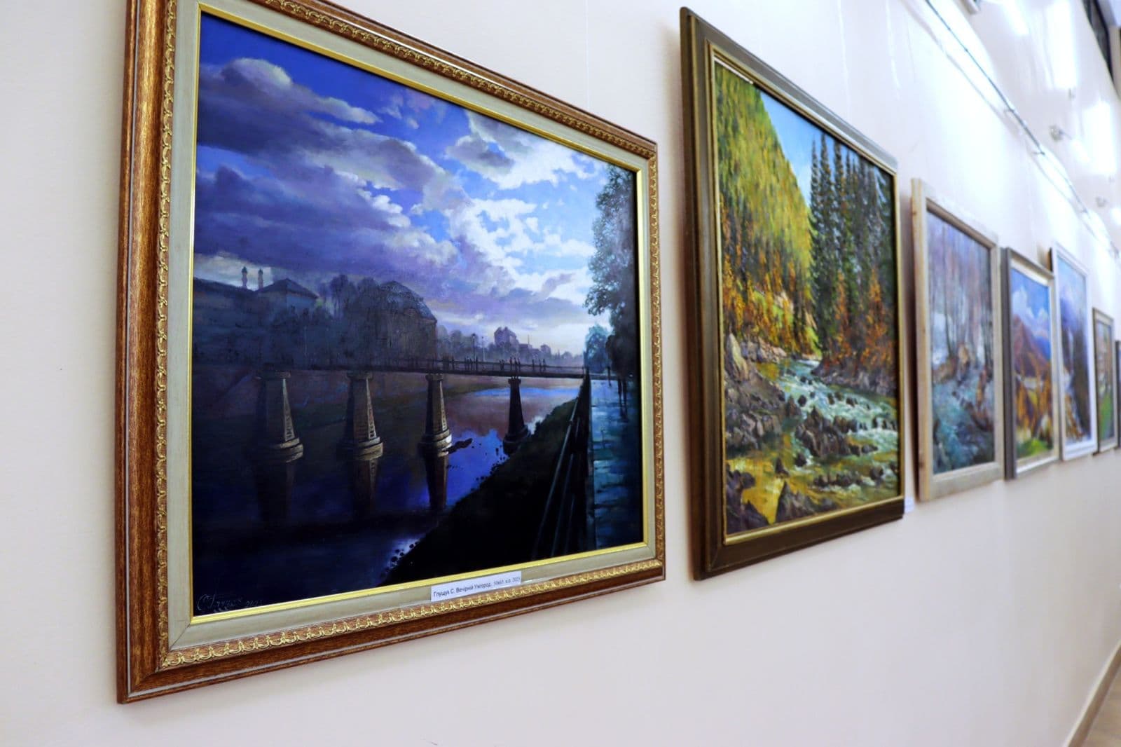 Зображення для статті: У Закарпатському музеї відкрили ювілейну виставку професійних художників краю