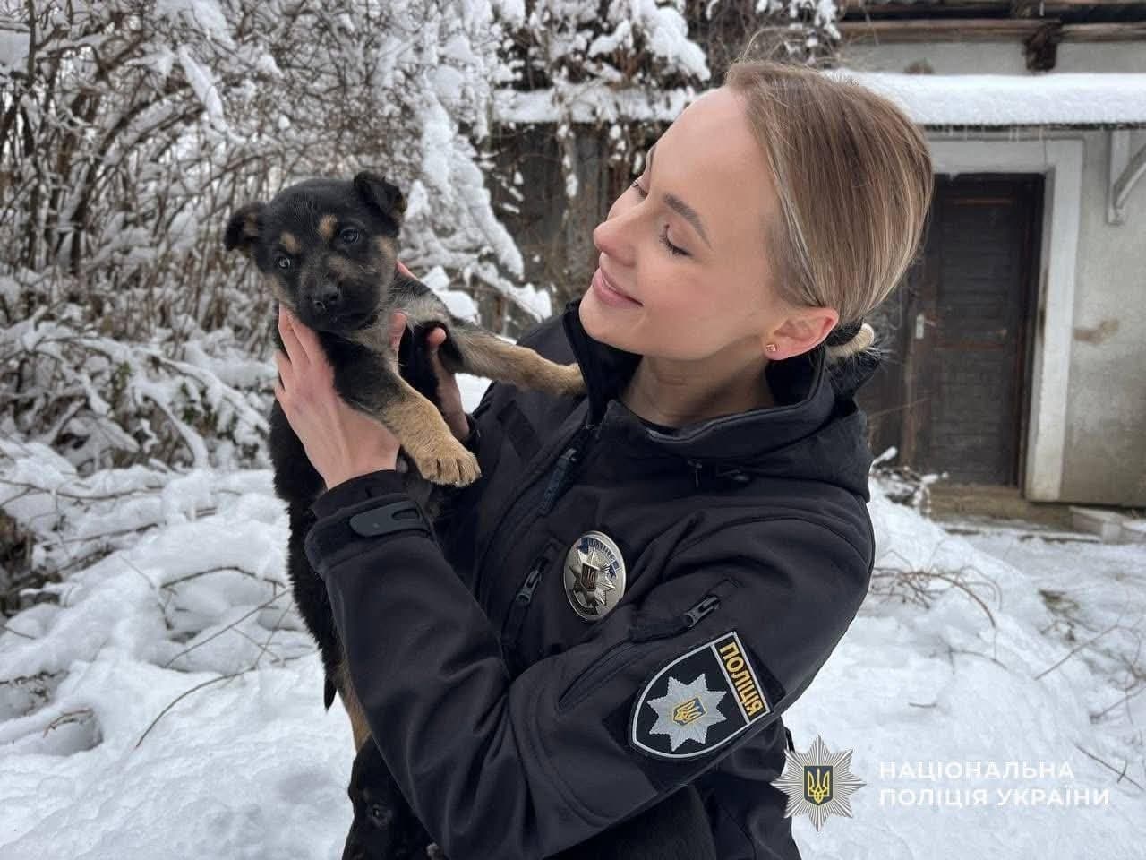 Зображення для статті: У Мукачеві поліцейська врятувала трьох покинутих цуценят