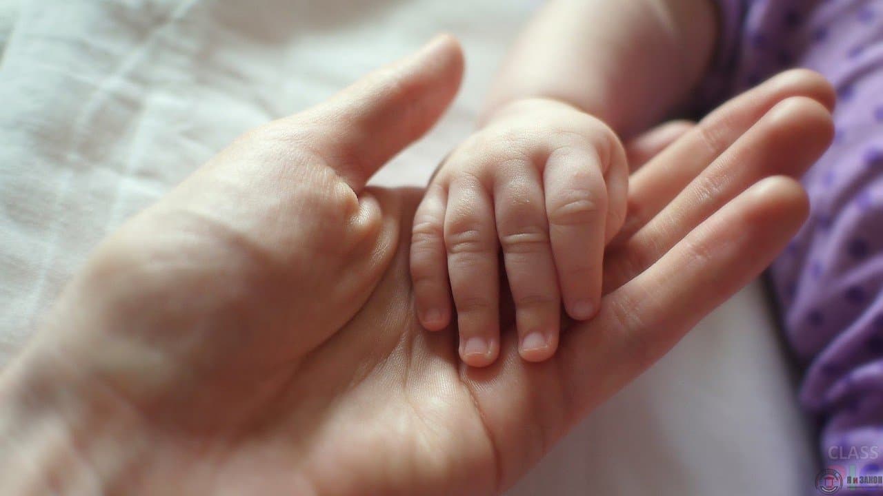 Зображення для статті: «Барнахус», зелені кімнати та відновне правосуддя: як на Закарпатті захищають дітей