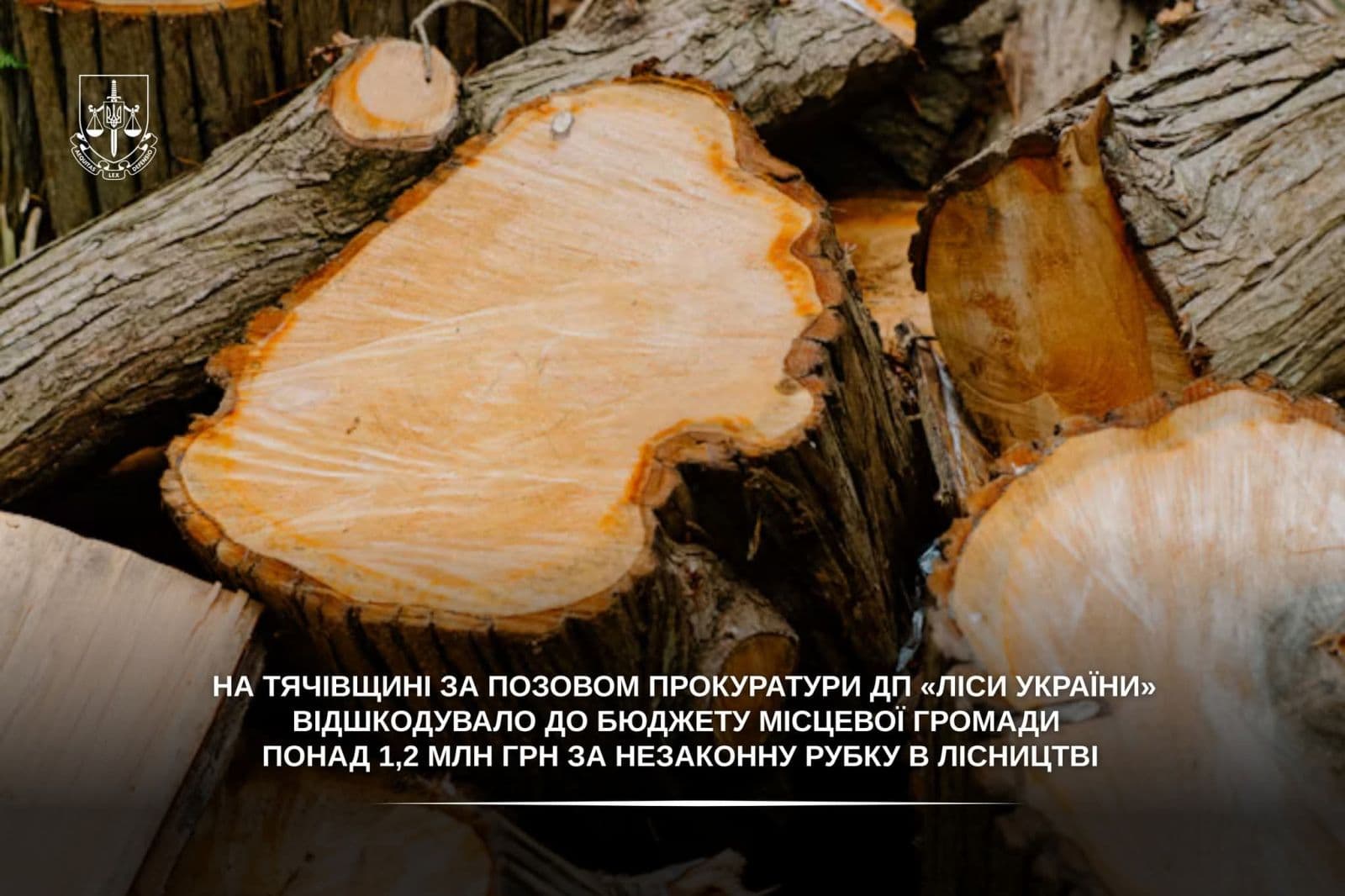 Зображення для статті: На Тячівщині «Ліси України» відшкодували громаді понад 1,2 млн грн за незаконну рубку дерев