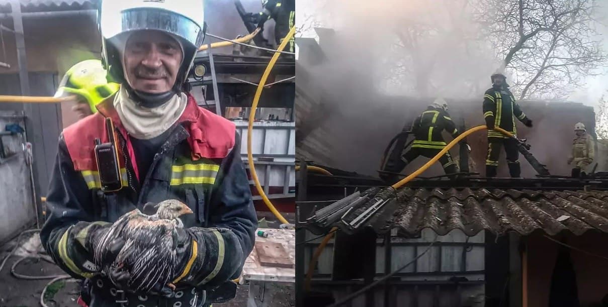 Зображення для статті: На Тячівщині під час пожежі рятувальники врятували свійську птицю