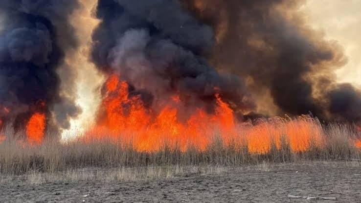 Зображення для статті: Закарпаття у зоні ризику: підвищена пожежна небезпека до кінця тижня