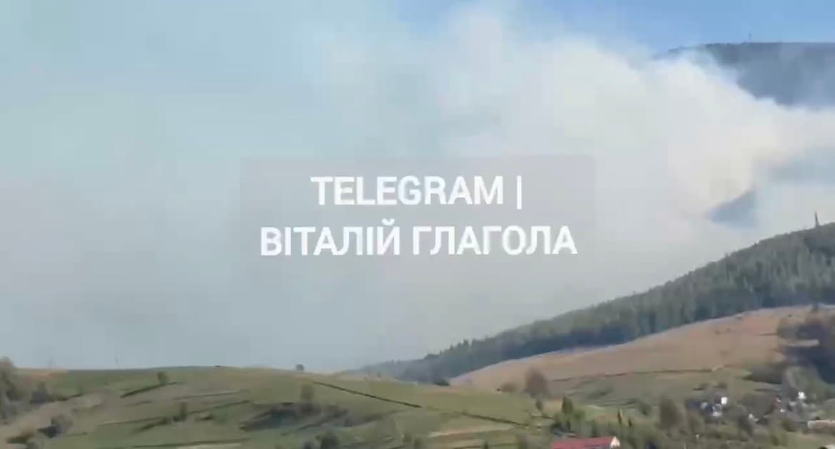 Зображення для статті: На Мукачівщині вогонь охопив 75 гектарів лісу: триває масштабне гасіння