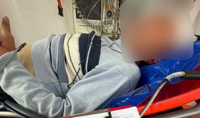 Зображення для статті: Удар конем у голову: на Берегівщині госпіталізували чоловіка