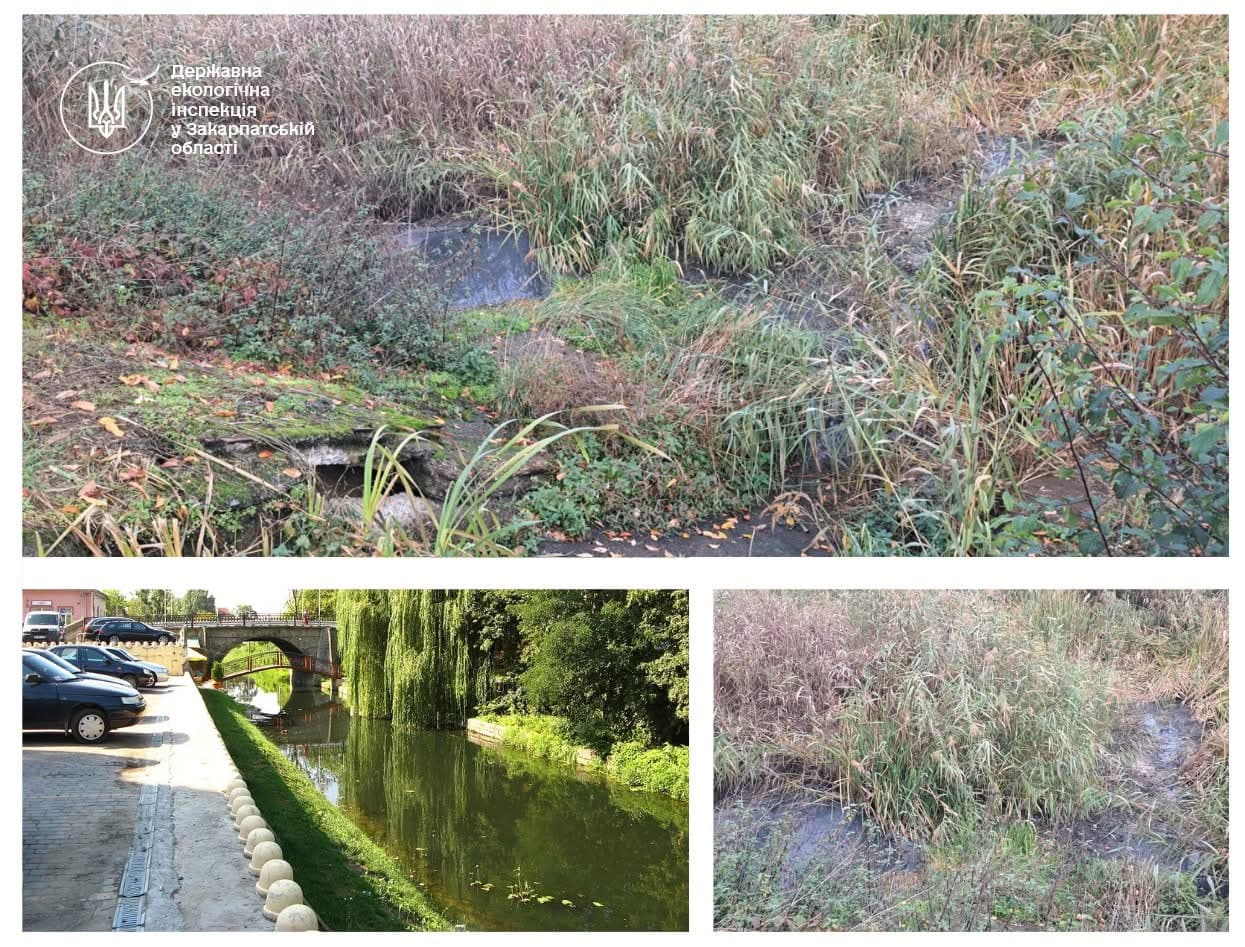 Зображення для статті: Річка Верке на Берегівщині стала сірою та смердючою — екологи шукають причину