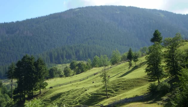 Зображення для статті: До +37°: якою буде погода на Закарпатті 1 серпня