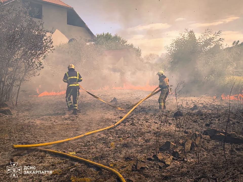 Зображення для статті: На Закарпатті за добу зафіксували 36 пожеж в екосистемах