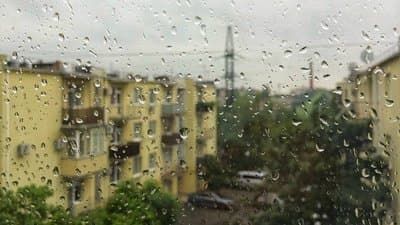 Зображення для статті: Дощі, морози і мокрий сніг: прогноз для Закарпаття