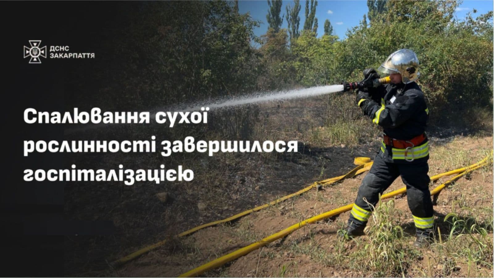 Зображення для статті: Хотів спалити суху траву, а опинився в лікарні: на Хустщині травмувався 79-річний чоловік