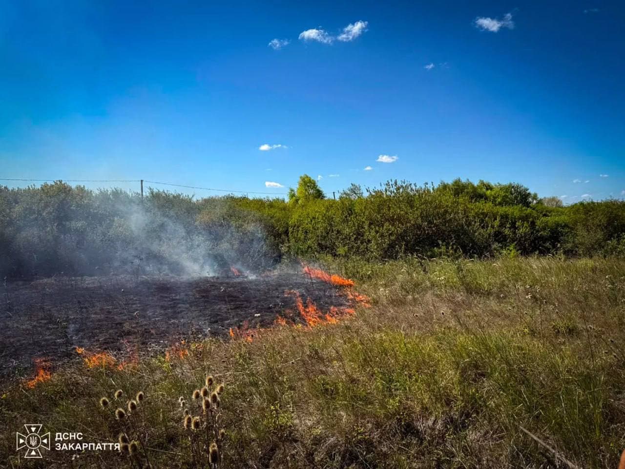 Зображення для статті: На Ужгородщині жінка отримала опіки, намагаючись загасити сухостій