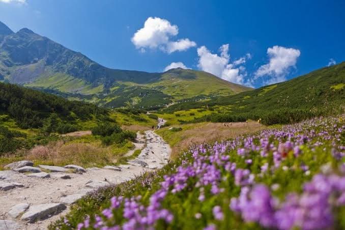 Зображення для статті: До +33° і без дощу: якою буде погода на Закарпатті 31 серпня