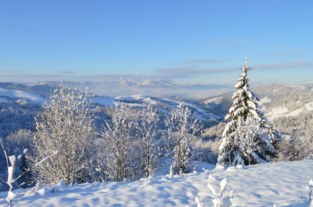 Зображення для статті: Якою буде погода на Закарпатті 13 січня?
