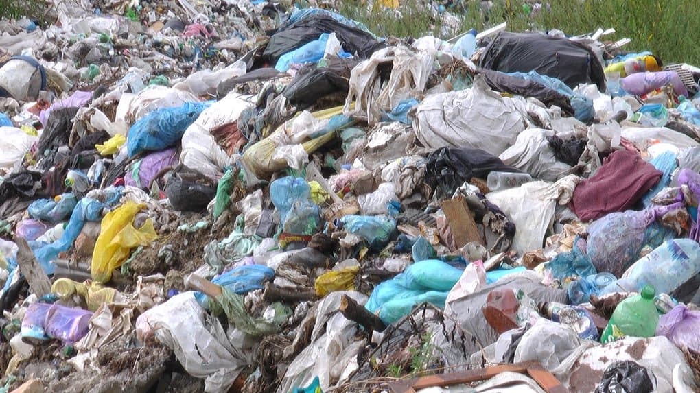 Зображення для статті: У Сваляві на сміттєзвалищі виявили небезпечні медичні відходи