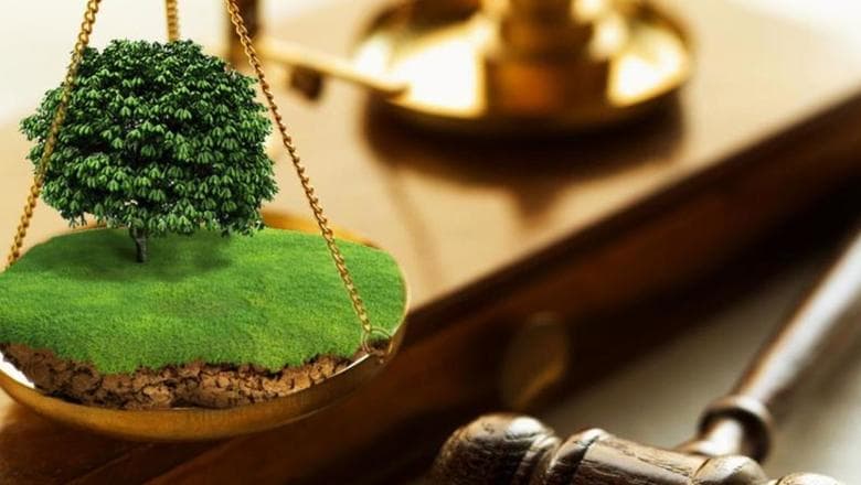 Зображення для статті: У Берегові підприємець сплатив громаді понад 322 тис. грн за незаконне користування землею