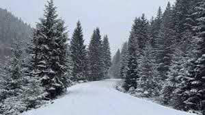 Зображення для статті: Прогноз погоди на 14 січня на Закарпатті