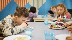 Зображення для статті: З вересня 2026 року всі школярі України отримуватимуть безкоштовне харчування