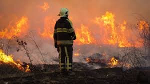 Зображення для статті: Рятувальники Закарпаття підбили підсумки роботи за 2025 рік