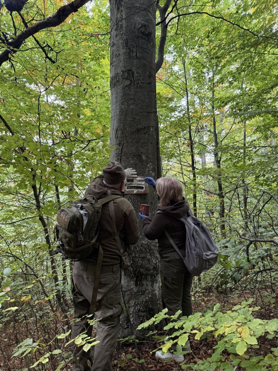 Зображення для статті: Новий туристичний маршрут у «Зачарованому краї»: від Осія до гори Бердо
