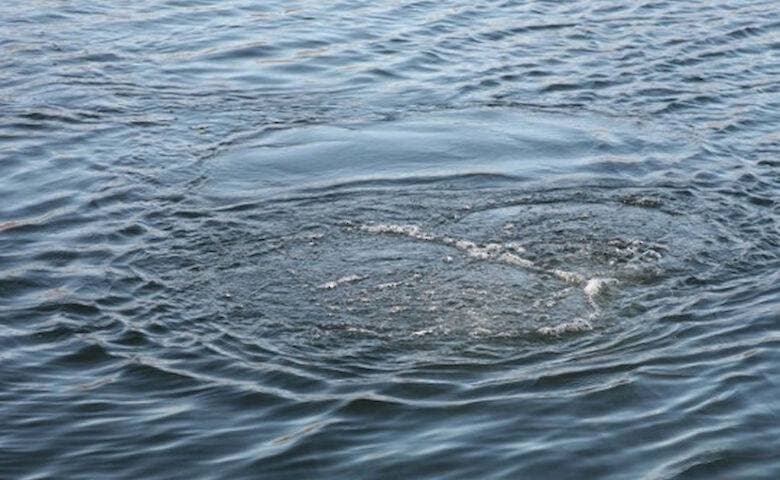 Зображення для статті: У Воловці виявили тіло ймовірного потопельника