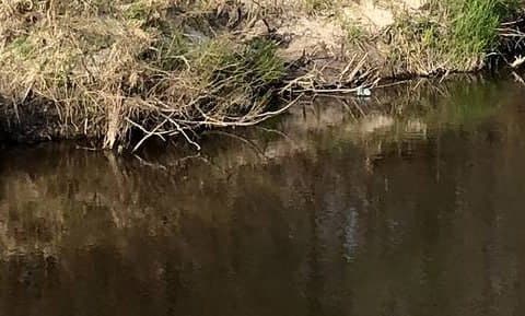 Зображення для статті: Моторошна знахідка у Мукачеві: рятувальники дістали тіло з канави