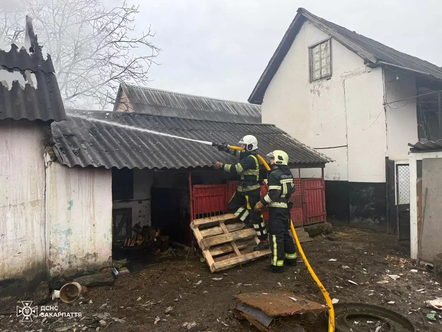 Зображення для статті: Пожежа на Берегівщині: вогонь знищив покрівлю та солому