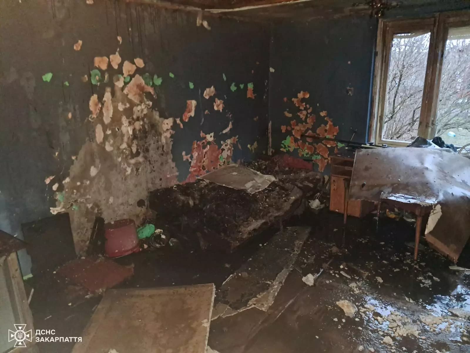 Зображення для статті: Пожежа на Берегівщині: загорівся житловий будинок