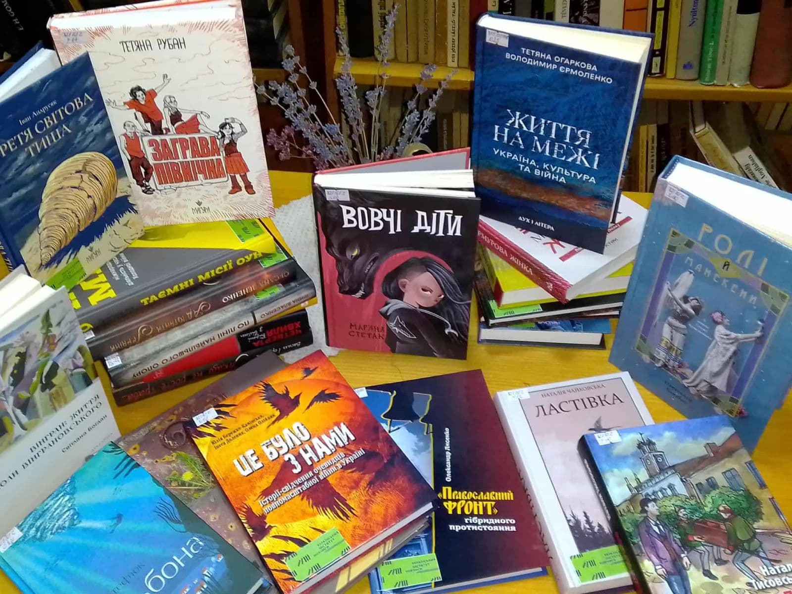 Зображення для статті: Нові книги вже на полицях: мукачівські міські бібліотеки поповнили колекції