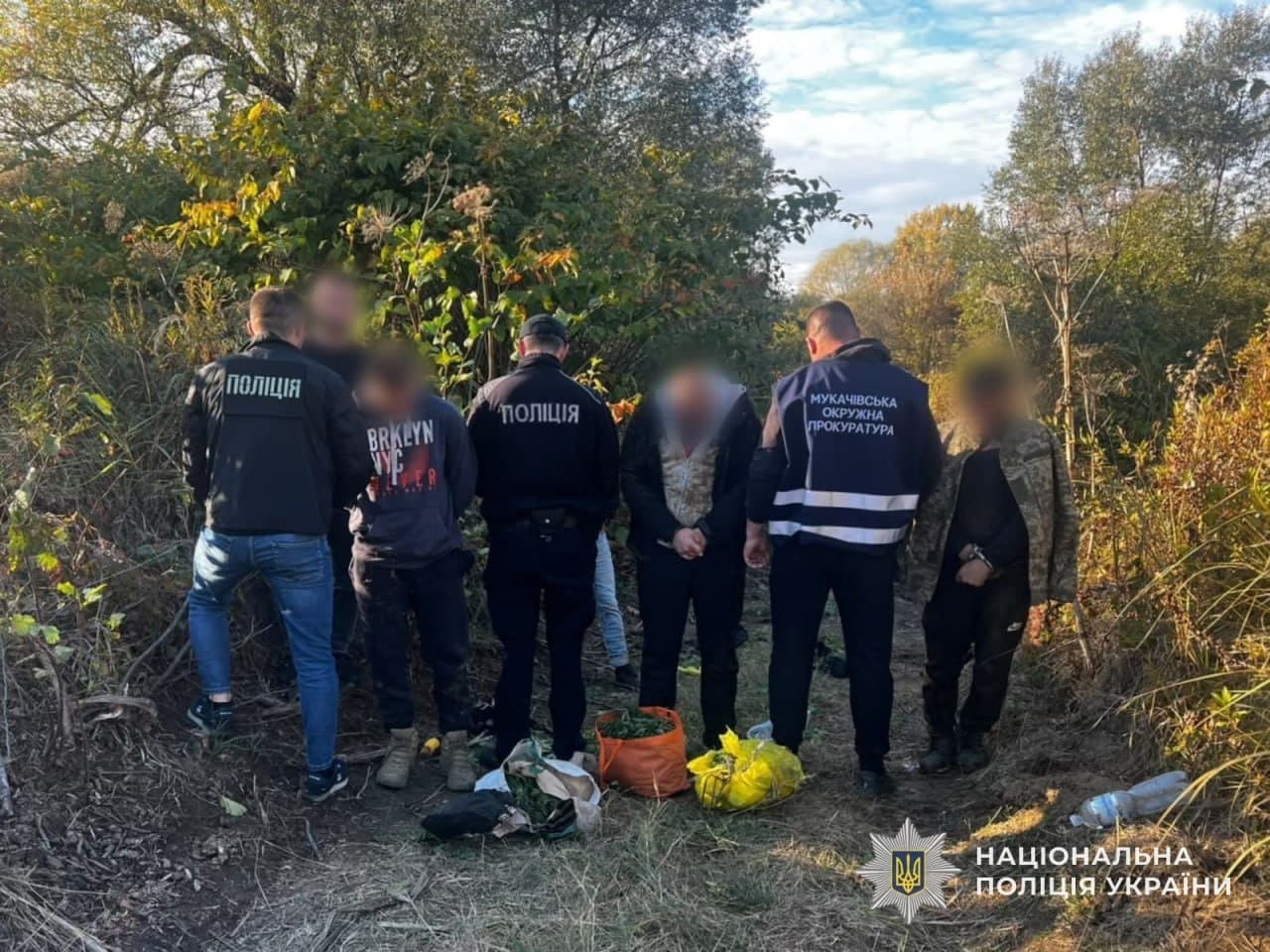 Зображення для статті: На Мукачівщині викрили плантацію конопель: вилучили наркотики на 1,8 млн грн і затримали трьох чоловіків