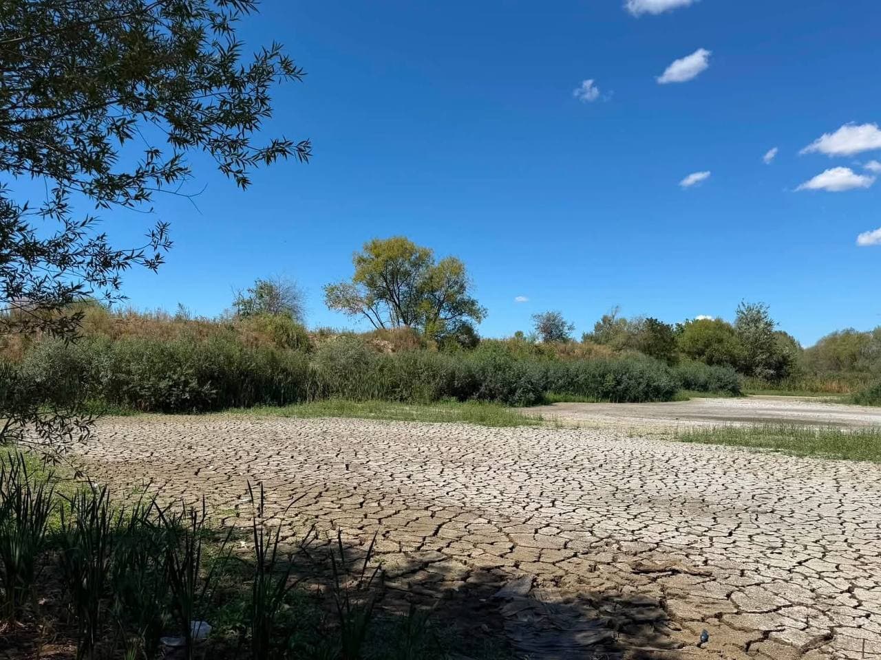 Зображення для статті: В Ужгороді повністю висохли Чорні озера: водойма перетворилася на потріскане дно
