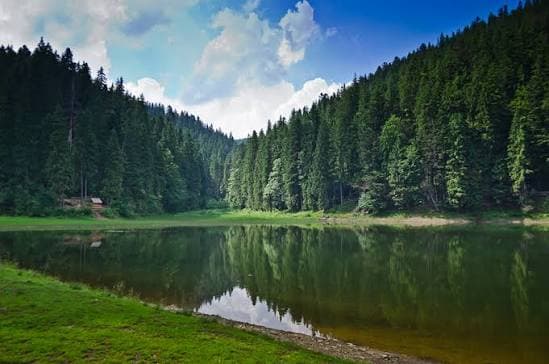 Зображення для статті: Купалися в озері Синевир: поліція встановлює особи двох порушників