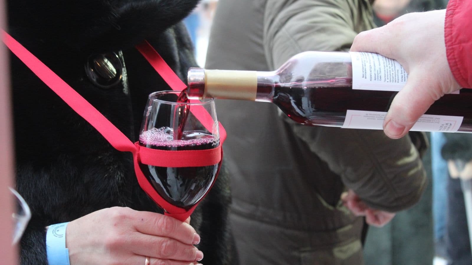 Зображення для статті: «Винний фест над Латорицею»: мукачівський фестиваль, який об’єднав сотні відвідувачів