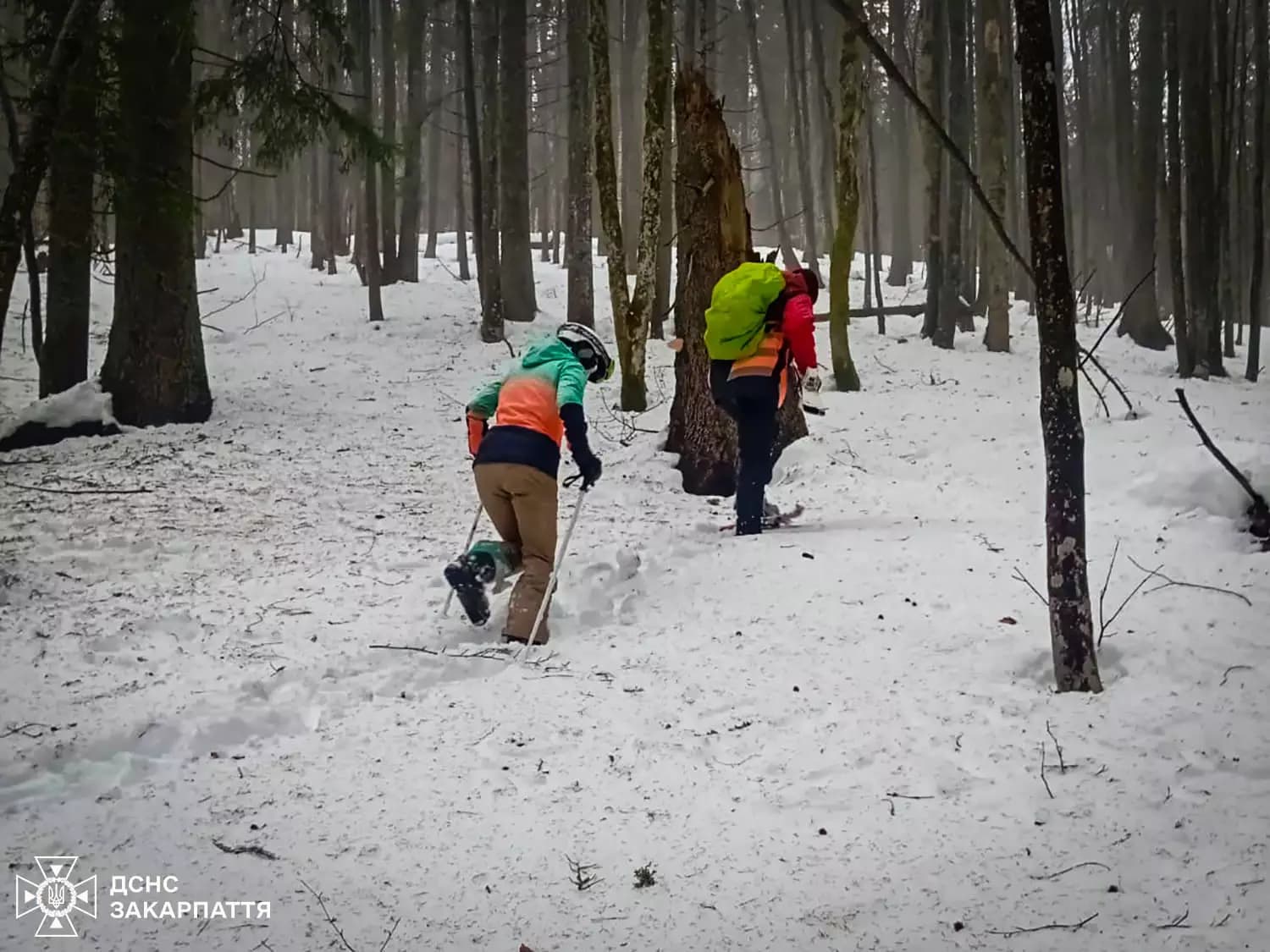 Зображення для статті: З’їхали з траси й заблукали: у Карпатах врятували туристів